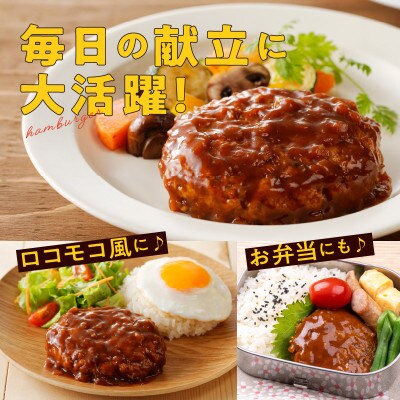 特製ソースのハンバーグ 2種20個(プレーン 10個/チーズ 10個)099H2889