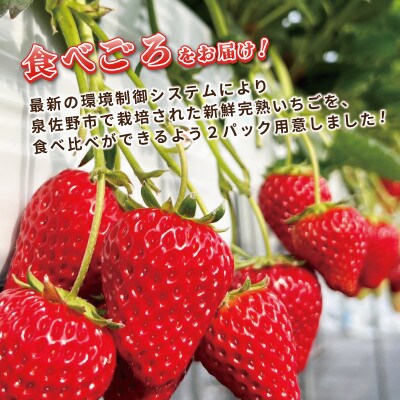 完熟新鮮 いちご 食べ比べ 2パック 合計540g以上 G640