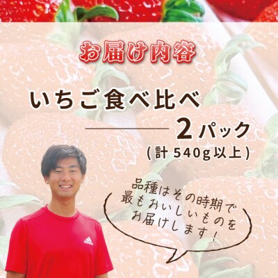 完熟新鮮 いちご 食べ比べ 2パック 合計540g以上 G640