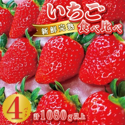 完熟新鮮 いちご食べ比べ 4パック 合計1080g以上 G641