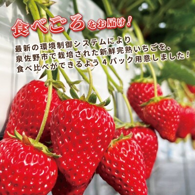 完熟新鮮 いちご食べ比べ 4パック 合計1080g以上 G641