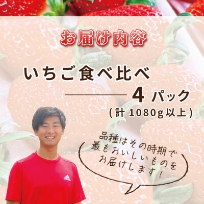 完熟新鮮 いちご食べ比べ 4パック 合計1080g以上 G641