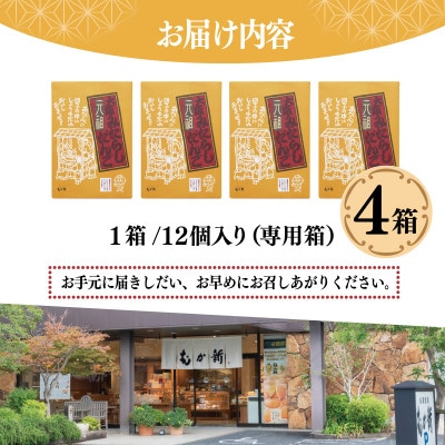 元祖大阪 みたらしだんご 12個×4箱【専用箱】 010B1617