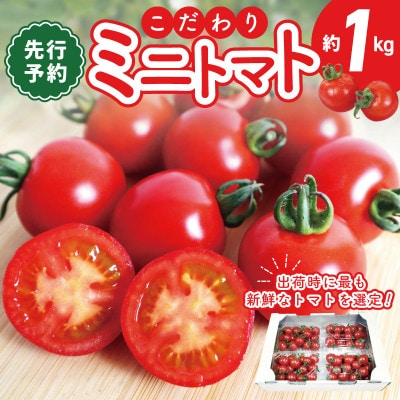 おいしさにこだわった ミニトマト 4パック 合計 1kg 099H2506
