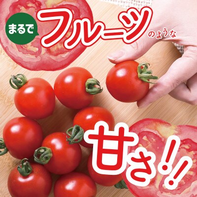 おいしさにこだわった ミニトマト 4パック 合計 1kg 099H2506