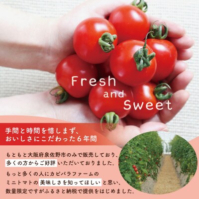 おいしさにこだわった ミニトマト 4パック 合計 1kg 099H2506