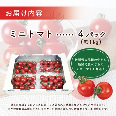 おいしさにこだわった ミニトマト 4パック 合計 1kg 099H2506