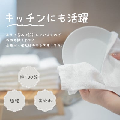 おしぼりタオル 12枚セット ホワイト  099H2373