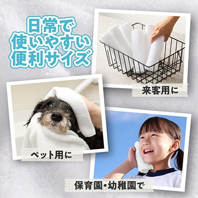 おしぼりタオル 12枚セット ホワイト  099H2373