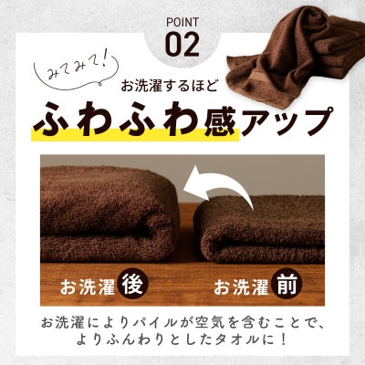 濃色カラーバスタオル 4枚セット(ブラウン) 010B1378