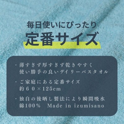 カラーバスタオル 4枚セット (アクア) 010B1353