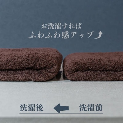 スーピマバスタオル 2枚(ブラウン) 015B479