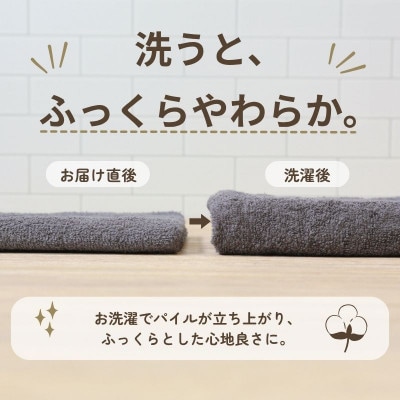 デイリーフェイスタオル 10枚セット(ダークグレー・サンドベージュ)