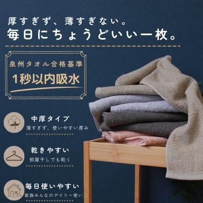 デイリーフェイスタオル 10枚セット(ダークグレー・ピンクベージュ)