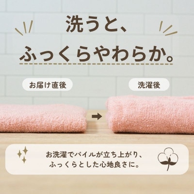 デイリーフェイスタオル 10枚セット(ピンクベージュ)