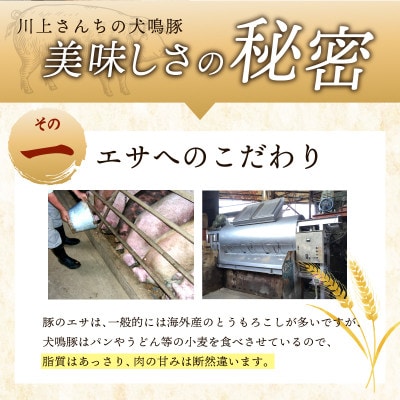 【泉佐野ブランド豚】犬鳴豚 味噌鍋セット 8人前 小分け 4パック 切り落とし 099H2818