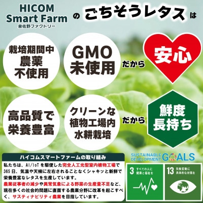 フリルレタス/レッドフリルレタス/バタビアレタス 食べ比べセット(8袋入り)099H2937