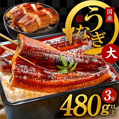 国産うなぎ 3尾 480g以上 大サイズ 1尾160g以上 泉佐野産 G1259