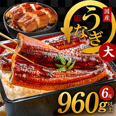 国産うなぎ 6尾 960g以上 大サイズ 1尾160g以上 泉佐野産 G1261