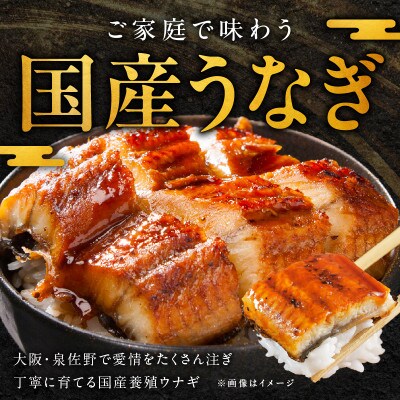 国産うなぎ 6尾 960g以上 大サイズ 1尾160g以上 泉佐野産 G1261