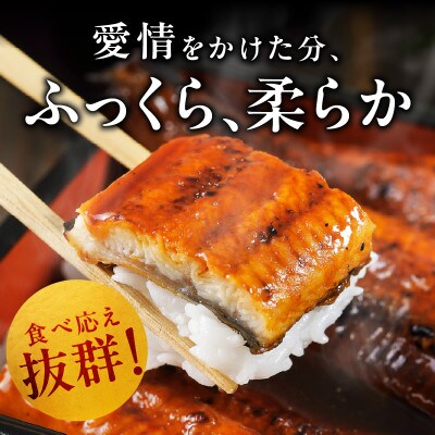 国産うなぎ 6尾 960g以上 大サイズ 1尾160g以上 泉佐野産 G1261