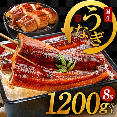 国産うなぎ 8尾 1200g以上 大サイズ 1尾160g以上 泉佐野産 G1262