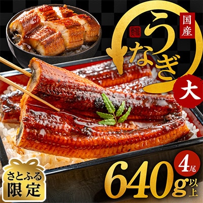 【さとふる限定】国産うなぎ 4尾 640g以上 大サイズ 1尾160g以上 泉佐野産 G1301