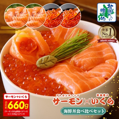 アトランティック サーモン 250g×2P & いくら醤油漬け 80g×2P 015B550