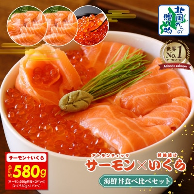 アトランティック サーモン 250g×2P & いくら醤油漬け 80g 099H3931