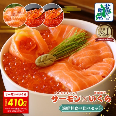 アトランティック サーモン 250g & いくら醤油漬け 80g×2P 099H3930