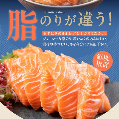 アトランティック サーモン 250g & いくら醤油漬け 80g 010B1775