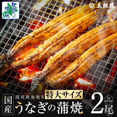 老舗 五郎藤 関西風地焼き 国産有頭旨鰻 250g×2尾 大きめサイズ 015B385
