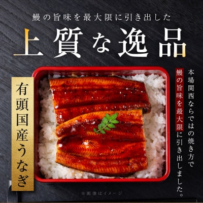老舗 五郎藤 関西風地焼き 国産有頭旨鰻 250g×2尾 大きめサイズ 015B385