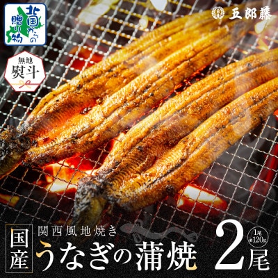 無地熨斗 五郎藤 関西風地焼き 国産有頭旨鰻 120g×2尾 計240g前後 099H3442-1