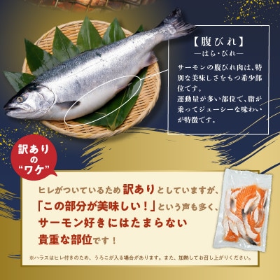 ボイルズワイ蟹 ビードロ 400g前後 約2人前&訳あり 鮭ハラス 200g×5P 099H3438
