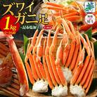 無地熨斗 ズワイガニ足 1kg前後 約2-3人前 蟹酢付き 昆布塩加工 020C438-1