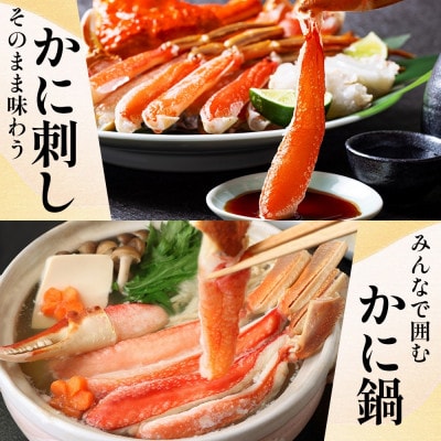 無地熨斗 ズワイ蟹 ポーション 500g前後 生食可 蟹酢付 約3-4人前 020C439-1