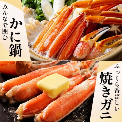無地熨斗 ボイルズワイガニ ビードロカット  400g前後 約2人前 010B1610-1