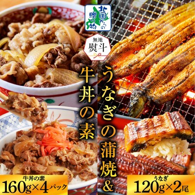 【無地熨斗】地焼き有頭旨鰻 120g×2尾 & 牛丼の素 160g×4パック 020C403-1