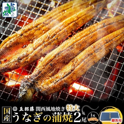 【贈答用】五郎藤 関西風地焼き 国産有頭旨鰻 250g×2尾 計約500g 015B385-1