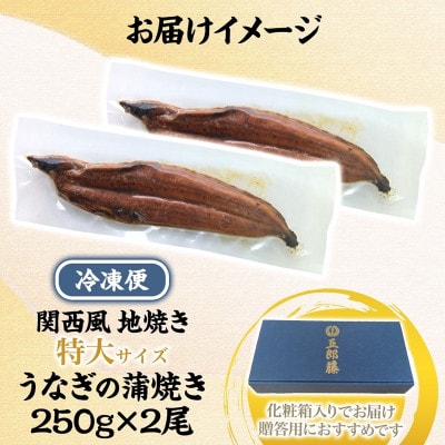 【贈答用】五郎藤 関西風地焼き 国産有頭旨鰻 250g×2尾 計約500g 015B385-1