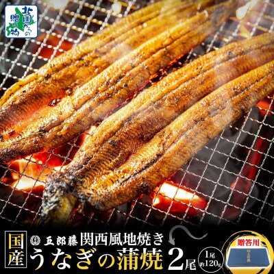 【贈答用】五郎藤 関西風地焼き 国産有頭旨鰻 120g×2尾 計約240g 099H3442-2