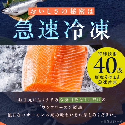 【期間限定】アトランティック サーモン 計1kg前後 はしっこ100g付き 099H3606-2