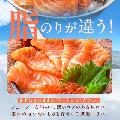 【期間限定】アトランティック サーモン 800g前後+皮付きハラス100g 015B473-3