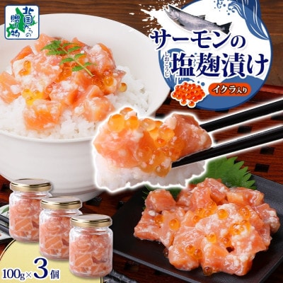 �T�[����������̉����Ђ� �r 100g×3�� 099H3739