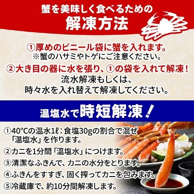 【北国からの贈り物】本ズワイガニ ポーション 1.5kg前後 生食可 蟹酢付 099H3936