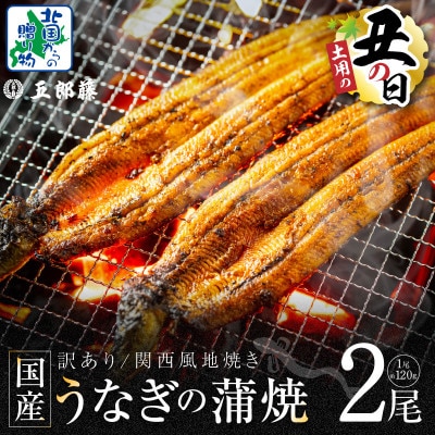 丑の日! 老舗「五郎藤」 関西風地焼き 国産有頭旨鰻 120g×2尾  099H3442d