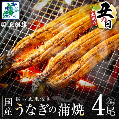 丑の日! 老舗「五郎藤」 関西風地焼き 国産有頭旨鰻 120g×4尾 020C402d