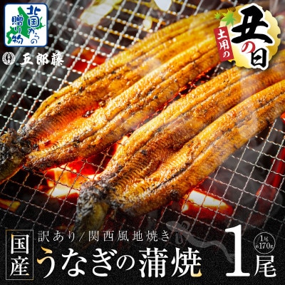 丑の日! 訳あり 老舗「五郎藤」関西風地焼き 国産有頭旨鰻 170g前後×1尾 099H3440d