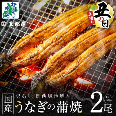 丑の日! 訳あり 老舗「五郎藤」関西風地焼き 国産有頭旨鰻 170g前後×2尾 099H3441d